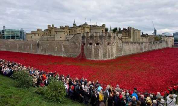 poppiesatthetower.jpg